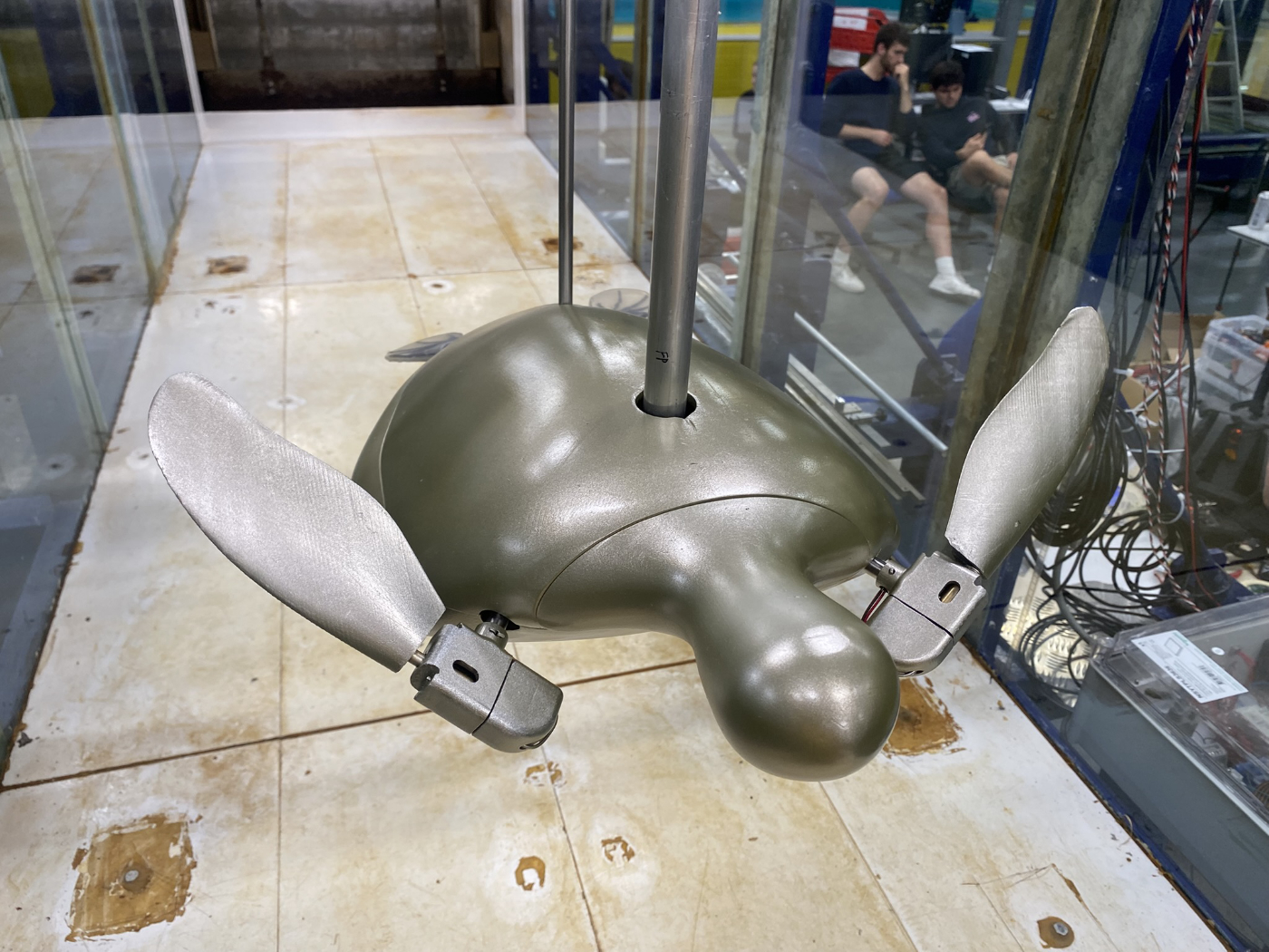 Shelly the turtle robot