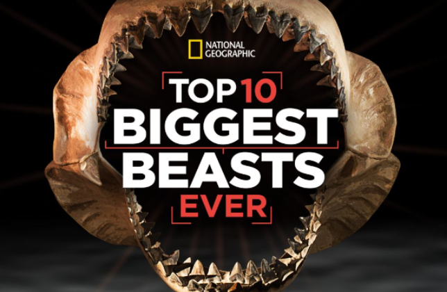 IMDb: Top 10 Biggest Beasts
